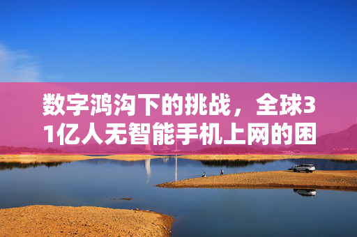 数字鸿沟下的挑战，全球31亿人无智能手机上网的困境与出路