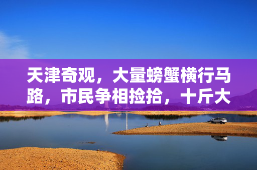 天津奇观，大量螃蟹横行马路，市民争相捡拾，十斤大丰收