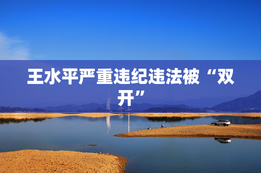 王水平严重违纪违法被“双开”