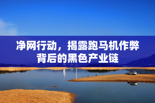 净网行动，揭露跑马机作弊背后的黑色产业链