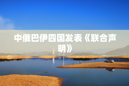 中俄巴伊四国发表《联合声明》