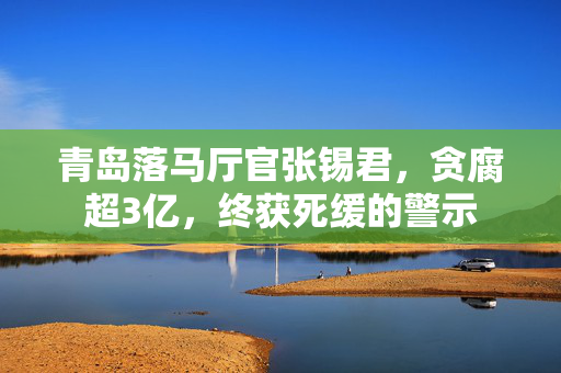青岛落马厅官张锡君，贪腐超3亿，终获死缓的警示