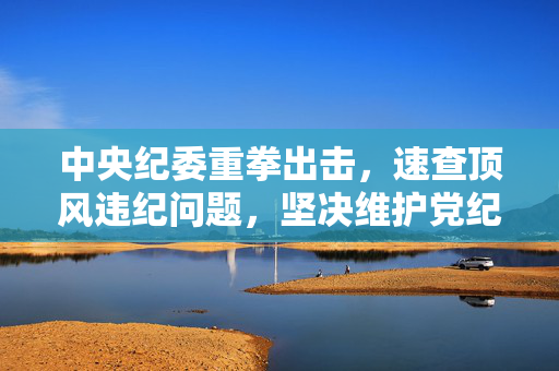 中央纪委重拳出击，速查顶风违纪问题，坚决维护党纪国法权威