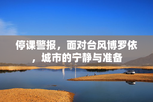 停课警报，面对台风博罗依，城市的宁静与准备