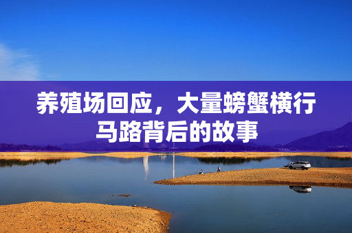 养殖场回应，大量螃蟹横行马路背后的故事