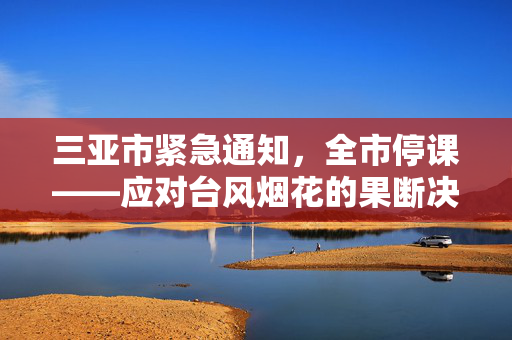 三亚市紧急通知，全市停课——应对台风烟花的果断决策