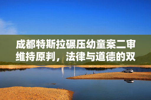 成都特斯拉碾压幼童案二审维持原判，法律与道德的双重审视