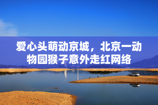 爱心头萌动京城，北京一动物园猴子意外走红网络