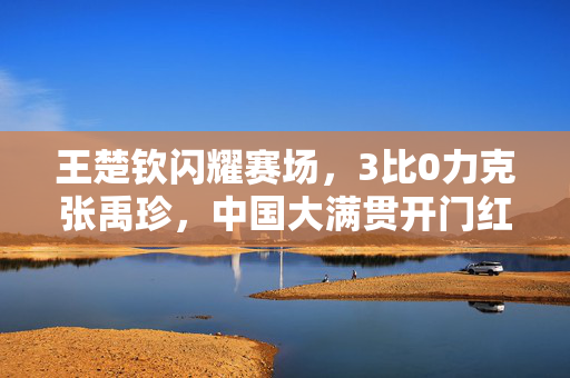 王楚钦闪耀赛场，3比0力克张禹珍，中国大满贯开门红点燃国乒激情