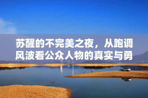 苏醒的不完美之夜，从跑调风波看公众人物的真实与勇气
