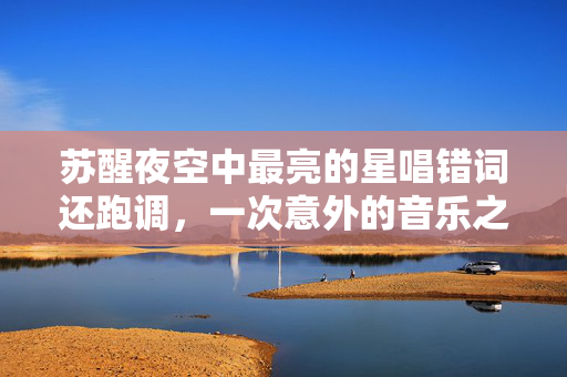 苏醒夜空中最亮的星唱错词还跑调，一次意外的音乐之旅