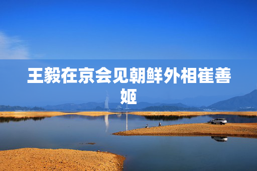 王毅在京会见朝鲜外相崔善姬
