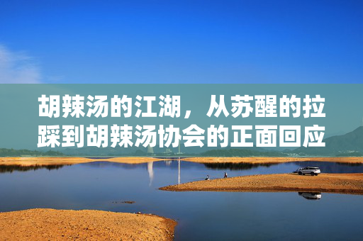 胡辣汤的江湖，从苏醒的拉踩到胡辣汤协会的正面回应——一场关于文化认同与地域自豪的对话