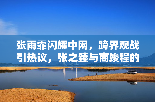 张雨霏闪耀中网，跨界观战引热议，张之臻与商竣程的网球对决，一场视觉盛宴的背后故事