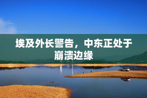 埃及外长警告，中东正处于崩溃边缘