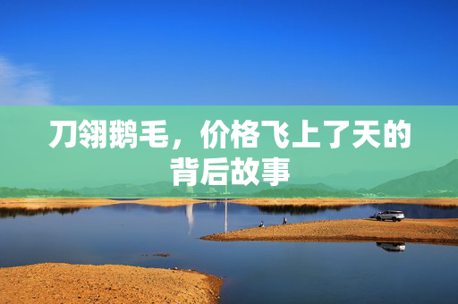 刀翎鹅毛，价格飞上了天的背后故事