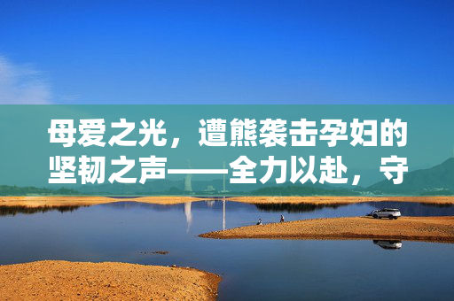 母爱之光，遭熊袭击孕妇的坚韧之声——全力以赴，守护生命的奇迹