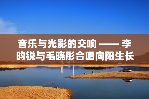音乐与光影的交响 —— 李昀锐与毛晓彤合唱向阳生长的温暖启示