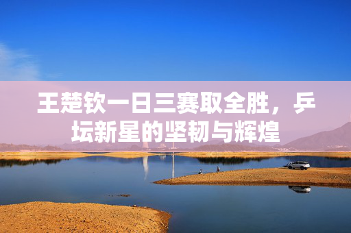 王楚钦一日三赛取全胜，乒坛新星的坚韧与辉煌