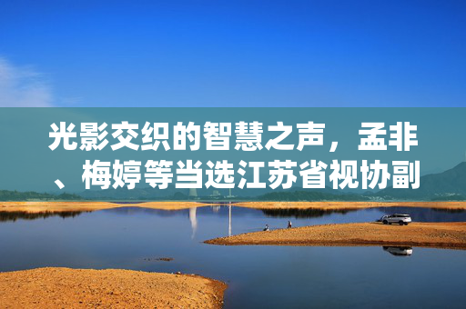 光影交织的智慧之声，孟非、梅婷等当选江苏省视协副主席的背后与展望