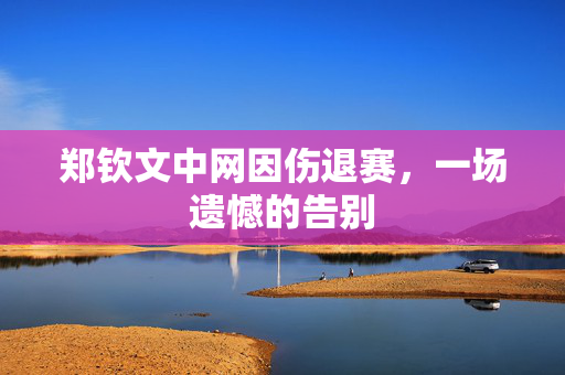 郑钦文中网因伤退赛，一场遗憾的告别