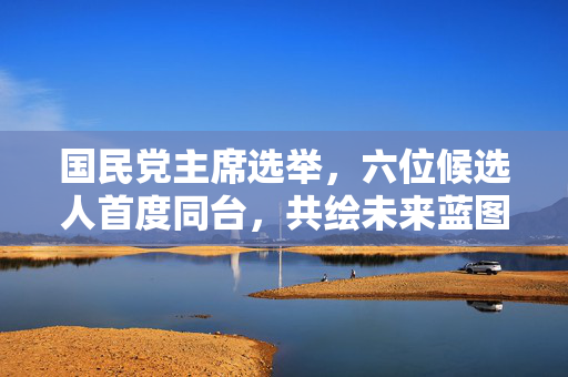国民党主席选举，六位候选人首度同台，共绘未来蓝图