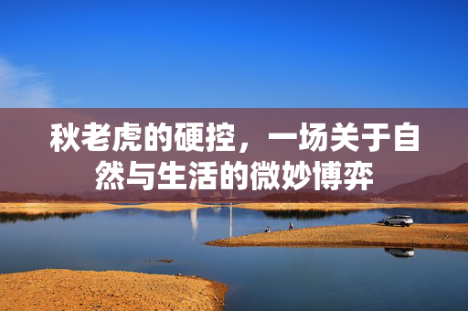 秋老虎的硬控，一场关于自然与生活的微妙博弈