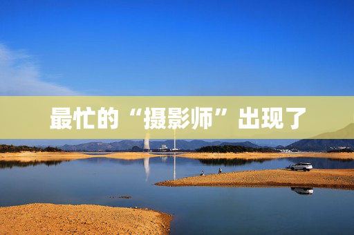 最忙的“摄影师”出现了