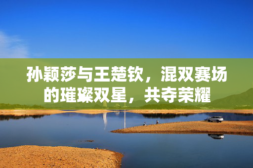 孙颖莎与王楚钦，混双赛场的璀璨双星，共夺荣耀