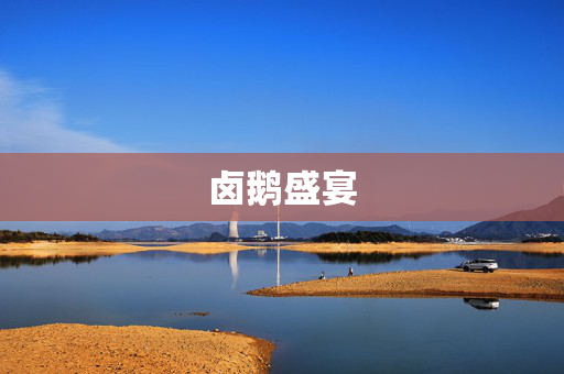 卤鹅盛宴