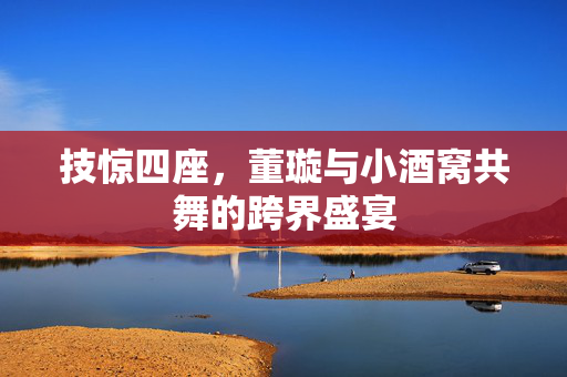 技惊四座，董璇与小酒窝共舞的跨界盛宴