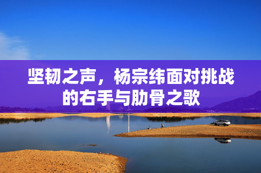 坚韧之声，杨宗纬面对挑战的右手与肋骨之歌