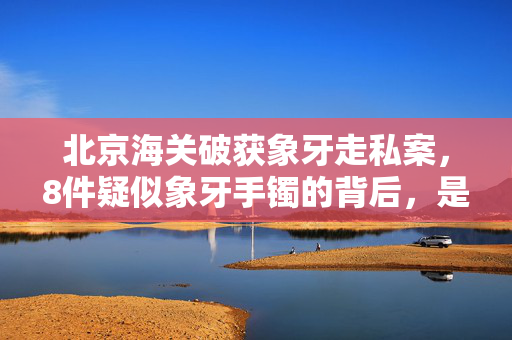 北京海关破获象牙走私案，8件疑似象牙手镯的背后，是保护野生动物与法律的较量