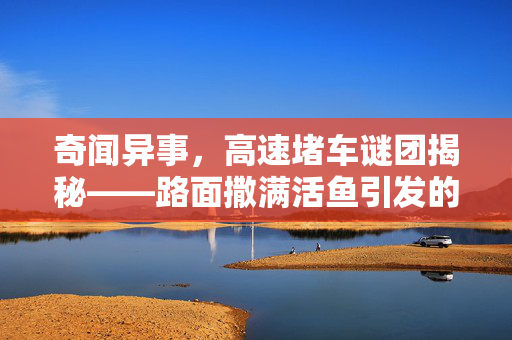 奇闻异事，高速堵车谜团揭秘——路面撒满活鱼引发的交通奇观