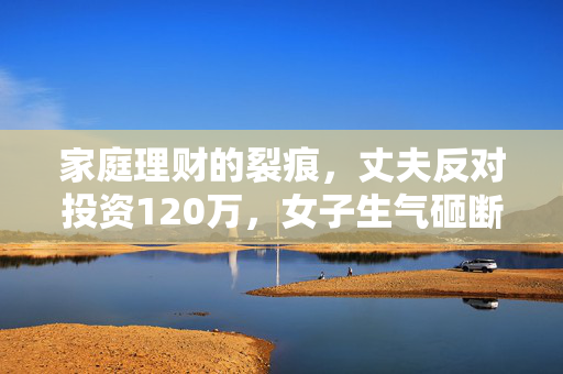 家庭理财的裂痕，丈夫反对投资120万，女子生气砸断餐桌
