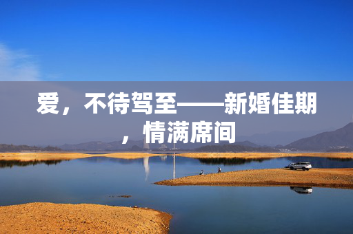 爱，不待驾至——新婚佳期，情满席间