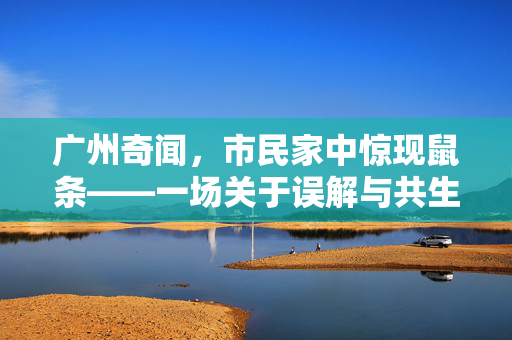 广州奇闻，市民家中惊现鼠条——一场关于误解与共生的城市寓言