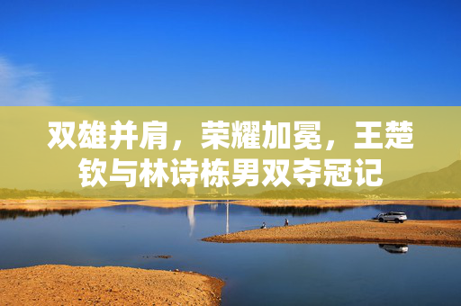 双雄并肩，荣耀加冕，王楚钦与林诗栋男双夺冠记