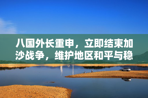 八国外长重申，立即结束加沙战争，维护地区和平与稳定