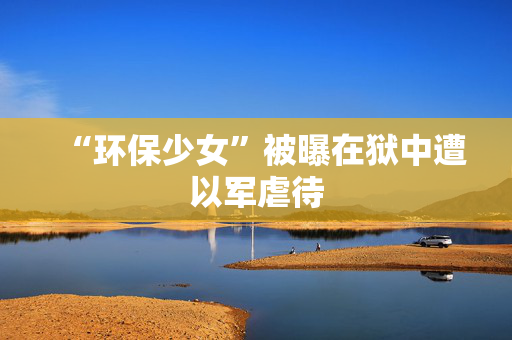 “环保少女”被曝在狱中遭以军虐待