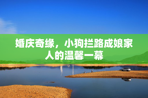 婚庆奇缘，小狗拦路成娘家人的温馨一幕