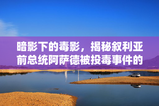 暗影下的毒影，揭秘叙利亚前总统阿萨德被投毒事件的迷雾