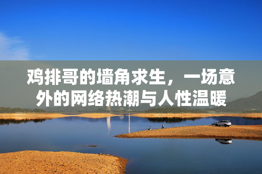 鸡排哥的墙角求生，一场意外的网络热潮与人性温暖