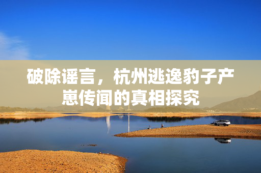 破除谣言，杭州逃逸豹子产崽传闻的真相探究