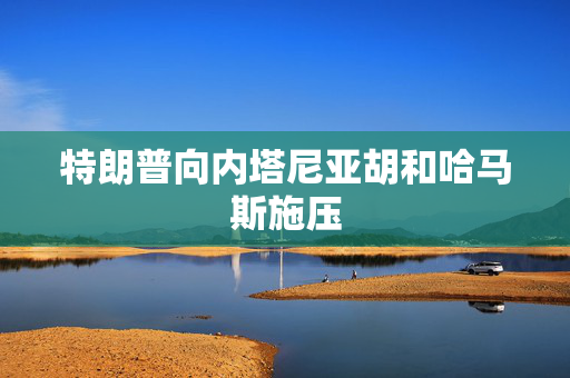 特朗普向内塔尼亚胡和哈马斯施压