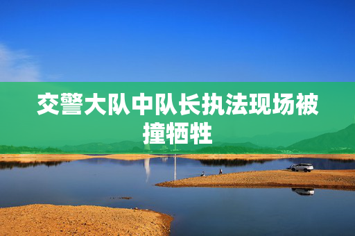 交警大队中队长执法现场被撞牺牲