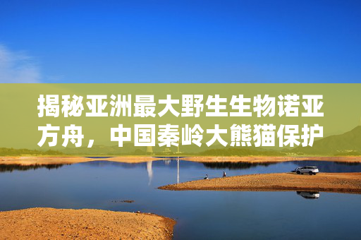 揭秘亚洲最大野生生物诺亚方舟，中国秦岭大熊猫保护区的生态奇迹