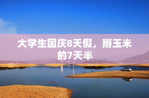 大学生国庆8天假，掰玉米的7天半
