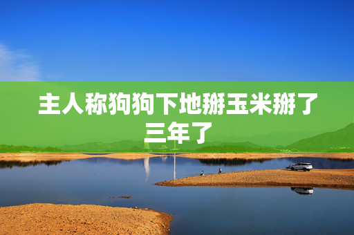 主人称狗狗下地掰玉米掰了三年了