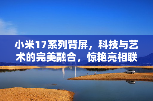 小米17系列背屏，科技与艺术的完美融合，惊艳亮相联合国